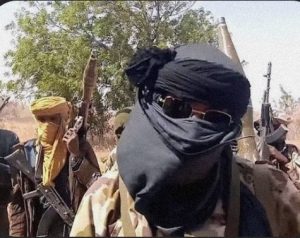 Nigeria Security Crisis: Politics vs. National Safety