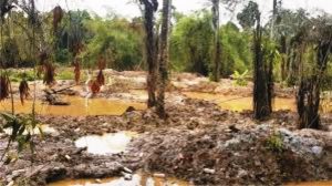 The scene reflects both the economic potential of the region and the challenges associated with illegal mining, environmental damage, and weak regulatory enforcement.