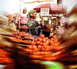 Economic impact of nonprofits in Nigeria through community development and livelihood programmes